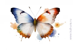 Стрекоза, бабочка, жуки – десять раскрасок с насекомыми для детей младшего возраста