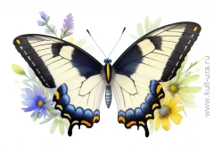 Стрекоза, бабочка, жуки – десять раскрасок с насекомыми для детей младшего возраста