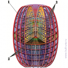 «Раскраска - Рассказка» — шестнадцать волшебных раскрасок о Космосе и сущности