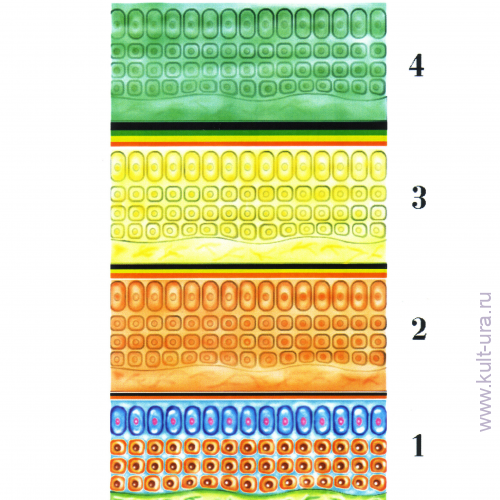 «Раскраска - Рассказка» — шестнадцать волшебных раскрасок о Космосе и сущности